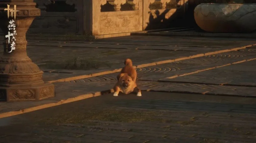 大乐透期号,专家质合分,深圳对决宁,万博足球,足球赛事资讯,足球比赛赛程,足球比赛动态,足球赛事平台