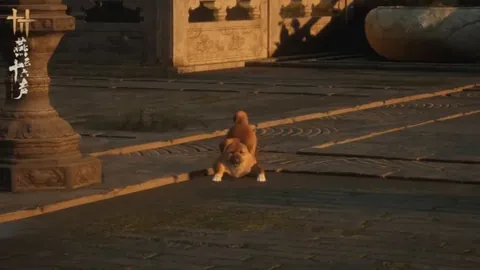 CBA大乐透期号专家质合分析：深圳对决宁波推荐前区十码